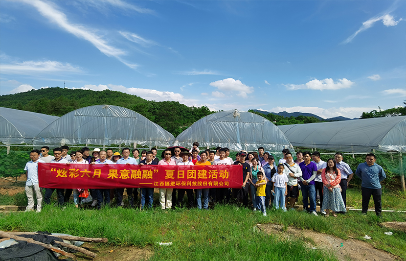 團建|挺進環(huán)保開展“炫彩六月 果意融融”夏日采摘活動