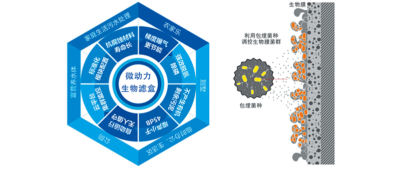 微動力生物濾盒.jpg